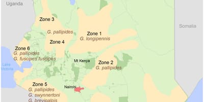 Kenya enstiti a nan fè sondaj sou ak kat 2016 konsomasyon